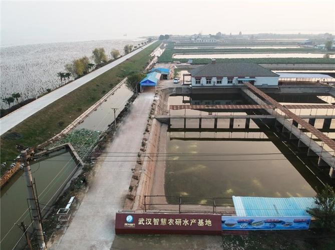 武汉智慧农研水产科技致力于开发,推广新型环保型水产